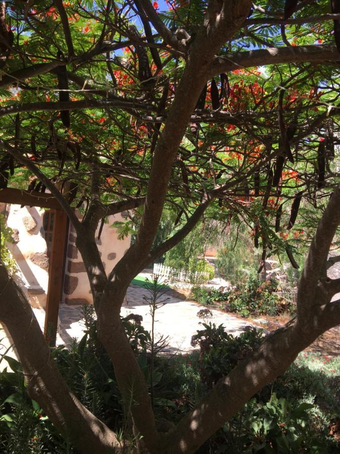 Vereda De Las Camellas Hotell Puerto del Rosario  Eksteriør bilde