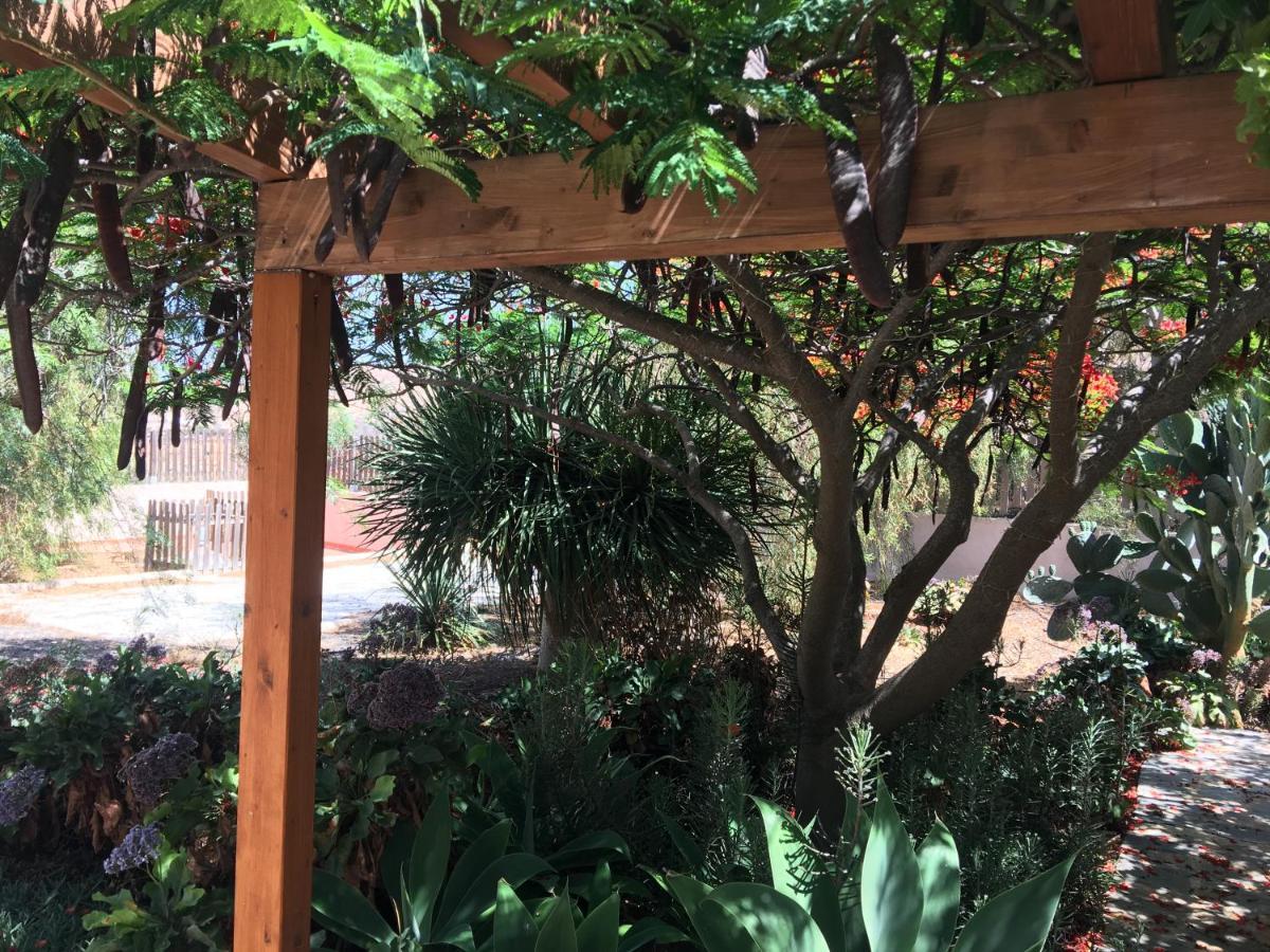 Vereda De Las Camellas Hotell Puerto del Rosario  Eksteriør bilde