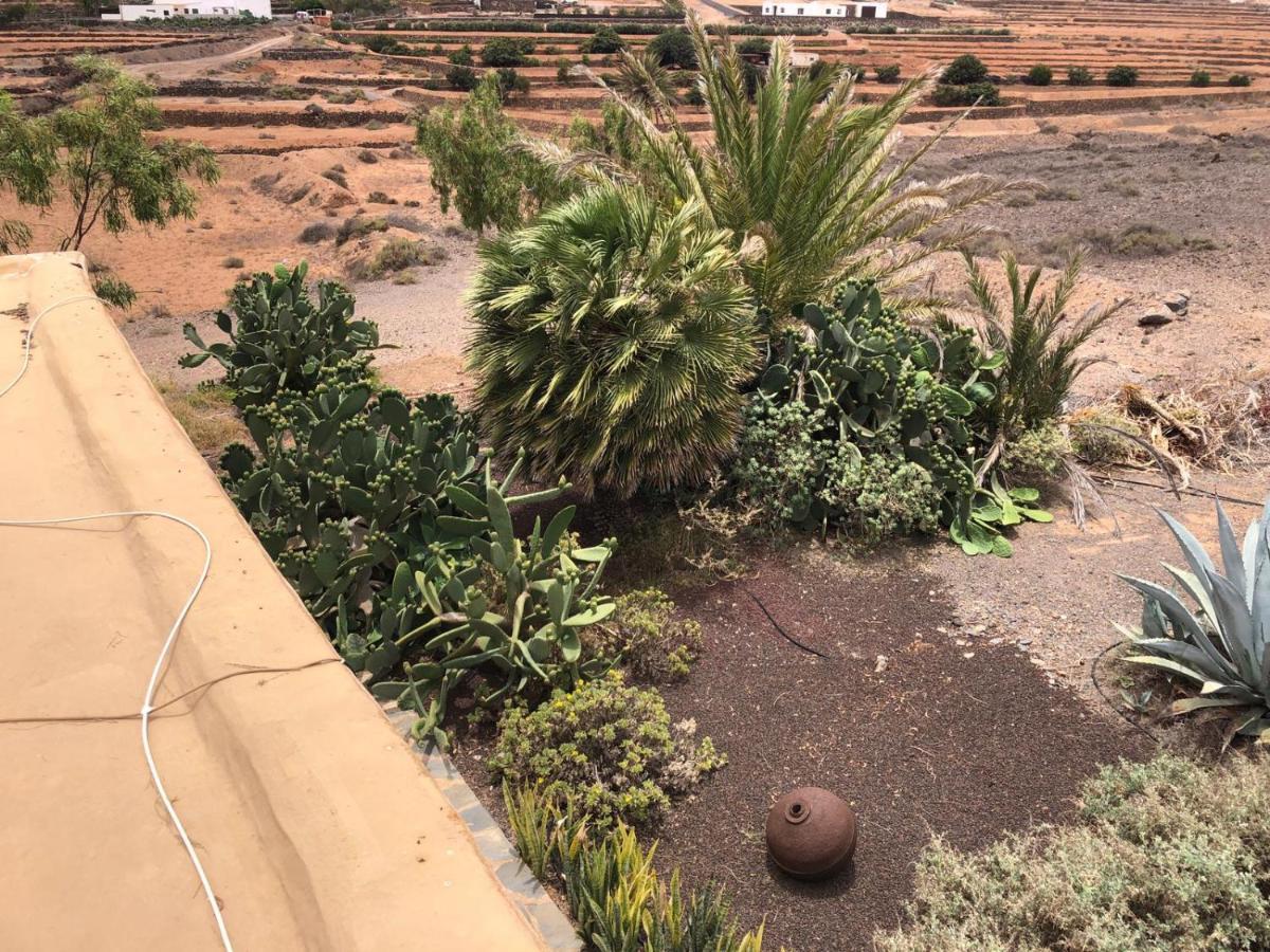 Vereda De Las Camellas Hotell Puerto del Rosario  Eksteriør bilde