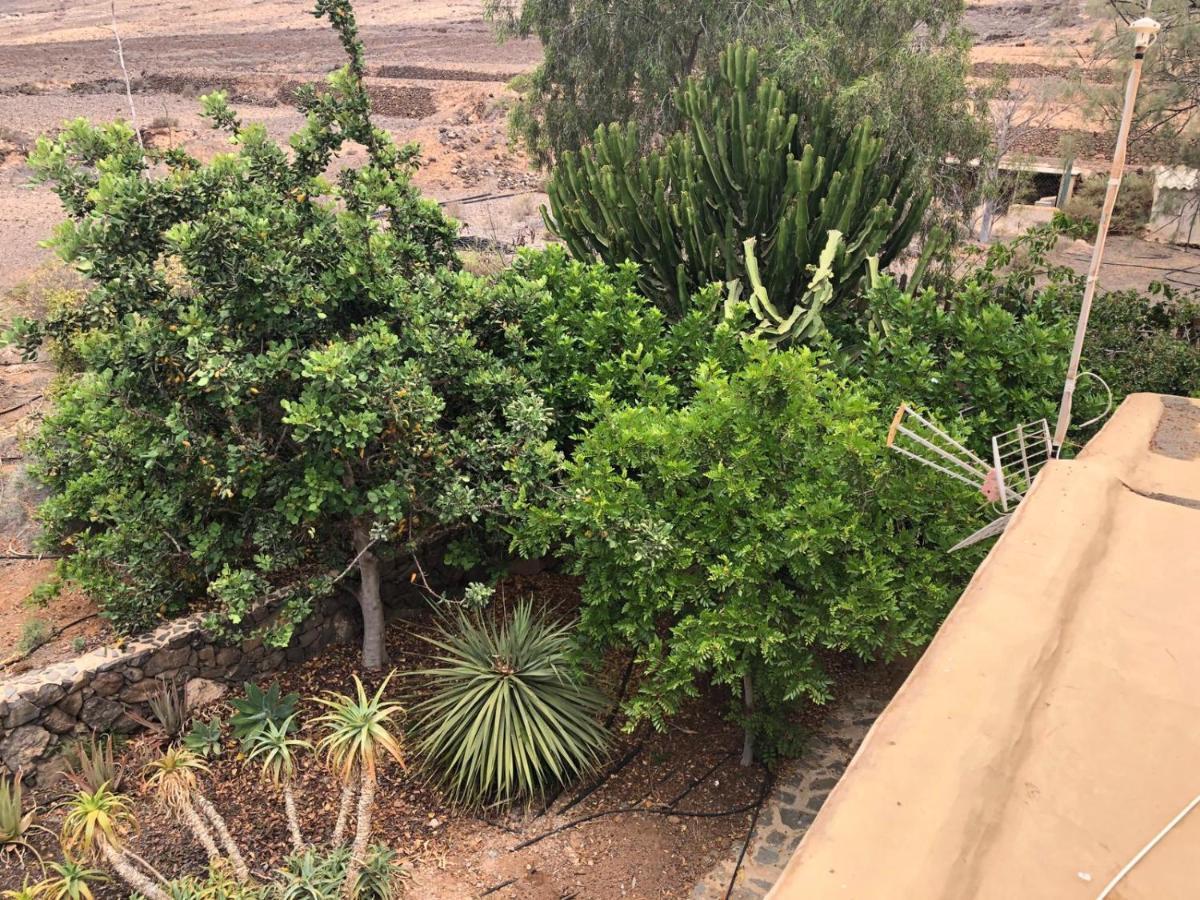 Vereda De Las Camellas Hotell Puerto del Rosario  Eksteriør bilde
