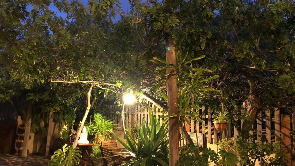 Vereda De Las Camellas Hotell Puerto del Rosario  Eksteriør bilde