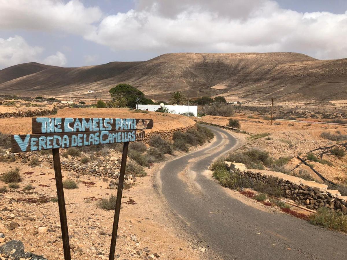 Vereda De Las Camellas Hotell Puerto del Rosario  Eksteriør bilde