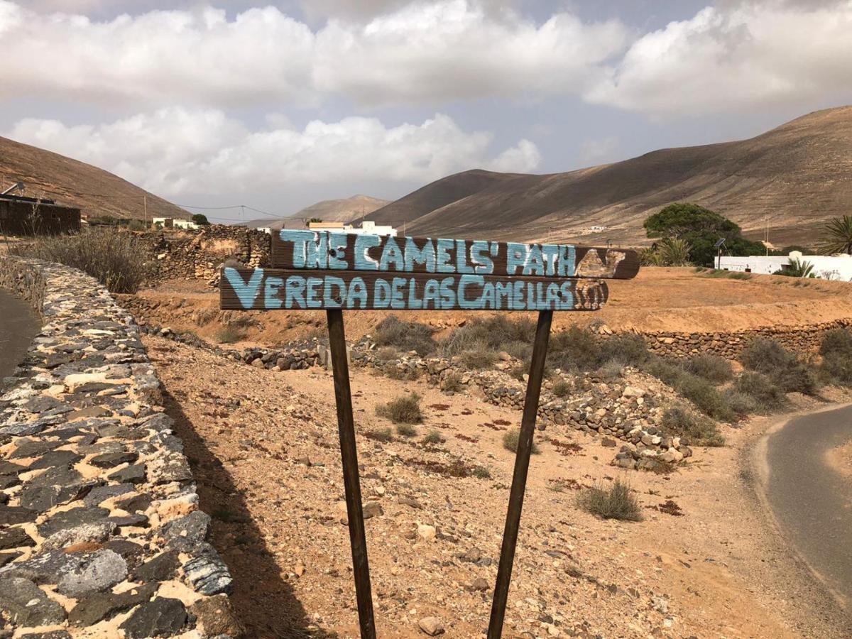 Vereda De Las Camellas Hotell Puerto del Rosario  Eksteriør bilde